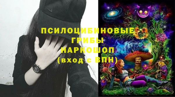 винт Арсеньев