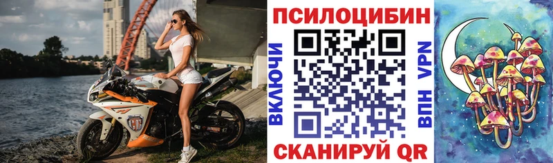 Галлюциногенные грибы Cubensis  Фрязино 