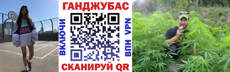 МАРИХУАНА план  наркошоп  Фрязино 